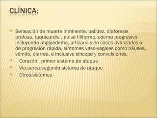 Sensación de muerte inminente, palidez, diaforesis profusa, taquicardia , pulso filiforme, edema progresivo incluyendo angioedema, urticaria y en casos avanzados o de progresión rápida, síntomas vaso-vagales como náusea, vómito, diarrea, e inclusive síncope y convulsiones. Corazón  primer sistema de ataque  Via aerea segundo sistema de ataque  Otros sistemas  