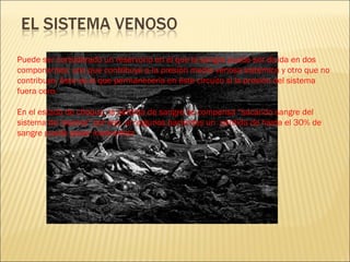 Puede ser considerado un reservorio en el que la sangre puede ser divida en dos componentes: uno que contribuye a la presión media venosa sistémica y otro que no contribuye, éste es el que permanecería en éste circuito si la presión del sistema fuera cero. En el estado de choque, la pérdida de sangre se compensa “sacando sangre del sistema de reserva” por eso, en algunos pacientes un  pérdida de hasta el 30% de sangre puede pasar inadvertida 