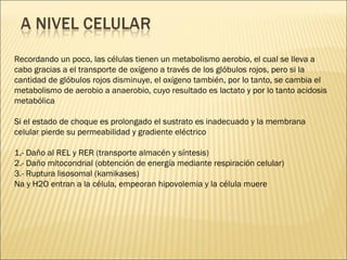 Recordando un poco, las células tienen un metabolismo aerobio, el cual se lleva a cabo gracias a el transporte de oxígeno a través de los glóbulos rojos, pero si la cantidad de glóbulos rojos disminuye, el oxígeno también, por lo tanto, se cambia el metabolismo de aerobio a anaerobio, cuyo resultado es lactato y por lo tanto acidosis metabólica Si el estado de choque es prolongado el sustrato es inadecuado y la membrana celular pierde su permeabilidad y gradiente eléctrico 1.- Daño al REL y RER (transporte almacén y síntesis) 2.- Daño mitocondrial (obtención de energía mediante respiración celular) 3.- Ruptura lisosomal (kamikases) Na y H2O entran a la célula, empeoran hipovolemia y la célula muere 