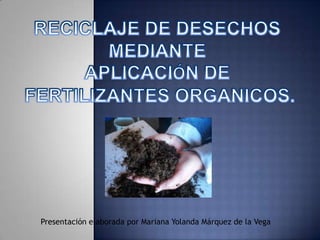 Presentación elaborada por Mariana Yolanda Márquez de la Vega
 