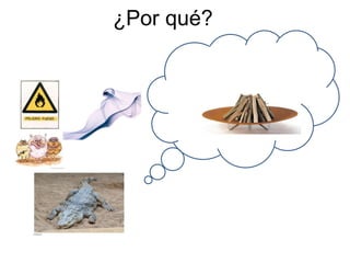 ¿Por qué?
 