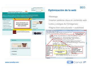 www.canalip.com Optimización de la web Metatags Insertar palabras clave en contenido web Links y códigos ALT(Imágenes) ‏ Página bien estructurada + usabilidad SEO 
