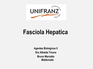 Fasciola Hepatica

    Agentes Biologicos II
     Dra Albaida Ticona
      Bruno Marcatto
          Maldonado
 