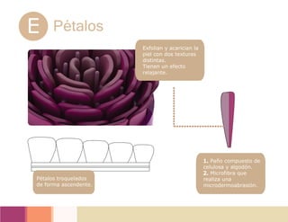 E Pétalos
Pétalos en tira en
forma creciente.
Pétalos troquelados
de forma ascendente.
Exfolian y acarician la
piel con dos texturas
distintas.
Tienen un efecto
relajante.
1. Paño compuesto de
celulosa y algodón.
2. Microfibra que
realiza una
microdermoabrasión.
A
B
C
D
E
 