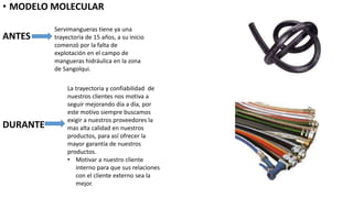 • MODELO MOLECULAR
ANTES
DURANTE
Servimangueras tiene ya una
trayectoria de 15 años, a su inicio
comenzó por la falta de
explotación en el campo de
mangueras hidráulica en la zona
de Sangolqui.
La trayectoria y confiabilidad de
nuestros clientes nos motiva a
seguir mejorando día a día, por
este motivo siempre buscamos
exigir a nuestros proveedores la
mas alta calidad en nuestros
productos, para así ofrecer la
mayor garantía de nuestros
productos.
• Motivar a nuestro cliente
interno para que sus relaciones
con el cliente externo sea la
mejor.
 