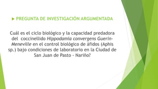  PREGUNTA DE INVESTIGACIÓN ARGUMENTADA
Cuál es el ciclo biológico y la capacidad predadora
del coccinellido Hippodamia convergens Guerin-
Meneville en el control biológico de áfidos (Aphis
sp.) bajo condiciones de laboratorio en la Ciudad de
San Juan de Pasto - Nariño?
 