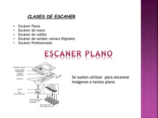 CLASES DE ESCANER
• Escáner Plano
• Escáner de mano
• Escáner de rodillo
• Escáner de tambor cámara Digitales
• Escáner Profesionales
Se suelen utilizar para escanear
imágenes o textos plano
 