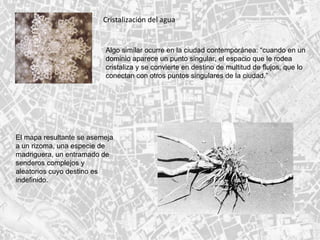 Cristalización del agua  Algo similar ocurre en la ciudad contemporánea: “cuando en un dominio aparece un punto singular, el espacio que le rodea cristaliza y se convierte en destino de multitud de flujos, que lo conectan con otros puntos singulares de la ciudad.” El mapa resultante se asemeja a un rizoma, una especie de madriguera, un entramado de senderos complejos y aleatorios cuyo destino es indefinido. 