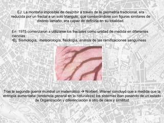 EJ: La montaña imposible de describir a través de la geometría tradicional, era reducida por un fractal a un solo triangulo, que combinándose con figuras similares de distinto tamaño, era capaz de definirla en su totalidad. En  1975 comenzaron a utilizarse los fractales como unidad de medida en diferentes ciencias Ej. Sismología,  meteorología, fisiología, análisis de las ramificaciones sanguíneas Tras la segunda guerra mundial un matemático    Norbert  Wiener concluyó que a medida que la entropía aumentaba (tendencia general en la naturaleza) los sistemas iban pasando de un estado de Organización y diferenciación a otro de caos y similitud 