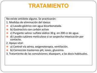 intoxicaciones