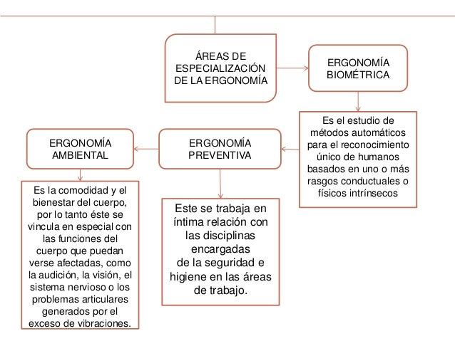 mapa conceptual de los principios basicos de la ergonomia