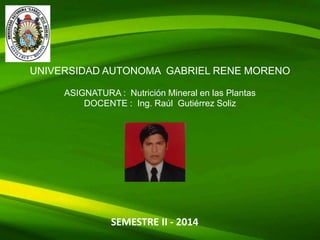 UNIVERSIDAD AUTONOMA GABRIEL RENE MORENO 
ASIGNATURA : Nutrición Mineral en las Plantas 
DOCENTE : Ing. Raúl Gutiérrez Soliz 
SEMESTRE II - 2014 
 
