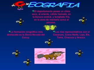 La formación orográfica más
destacada es la Sierra Nevada del
Cocuy.
El departamento posee un clima
seco, al oriente, cálido húmedo, en
la llanura central, y templado frío,
en la zona de montaña cerca al
páramo.
Los ríos representativos son el
Casanare, Cravo Norte, Lipa, Ele,
Tame, Ciracuco y Arauca.
 