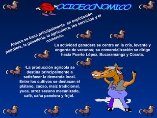Arauca se basa principalmente en explotación
petrolera, la ganadería, la agricultura, los servicios y el
comercio.
La actividad ganadera se centra en la cría, levante y
engorde de vacunos; su comercialización se dirige
hacia Puerto López, Bucaramanga y Cúcuta.
•La producción agrícola se
destina principalmente a
satisfacer la demanda local.
Entre los cultivos se destacan el
plátano, cacao, maíz tradicional,
yuca, arroz secano mecanizado,
café, caña panelera y fríjol.
 