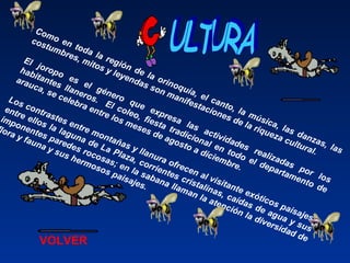 Como en toda la región de la orinoquía, el canto, la música, las danzas, las
costumbres, mitos y leyendas son manifestaciones de la riqueza cultural.
El joropo es el género que expresa las actividades realizadas por los
habitantes llaneros. El coleo, fiesta tradicional en todo el departamento de
arauca, se celebra entre los meses de agosto a diciembre.
Los contrastes entre montañas y llanura ofrecen al visitante exóticos paisajes,
entre ellos la laguna de La Plaza, corrientes cristalinas, caídas de agua y sus
imponentes paredes rocosas; en la sabana llaman la atención la diversidad de
lora y fauna y sus hermosos paisajes.
VOLVER
 