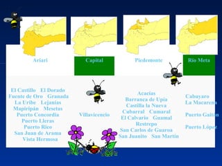 Ariari Capital Piedemonte Río Meta
El Castillo • El Dorado •
Fuente de Oro • Granada •
La Uribe • Lejanías •
Mapiripán • Mesetas •
Puerto Concordia •
Puerto Lleras •
Puerto Rico •
San Juan de Arama •
Vista Hermosa
Villavicencio
Acacías •
Barranca de Upía •
Castilla la Nueva •
Cubarral • Cumaral •
El Calvario • Guamal •
Restrepo •
San Carlos de Guaroa •
San Juanito • San Martín
Cabuyaro •
La Macarena
•
Puerto Gaitán
•
Puerto López
•
 