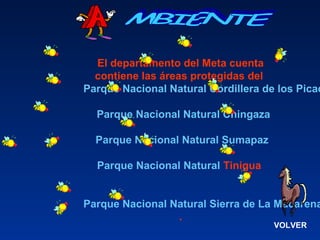 El departamento del Meta cuenta
contiene las áreas protegidas del
Parque Nacional Natural Cordillera de los Picac
Parque Nacional Natural Chingaza
Parque Nacional Natural Sumapaz
Parque Nacional Natural Tinigua
Parque Nacional Natural Sierra de La Macarena
.
VOLVER
 
