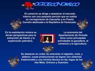 La economía del 
departamento de Vichada 
tiene como principales 
actividades la ganadería, el 
comercio y la agricultura. 
Se destacan en orden de extensión el algodón, maíz, y 
plátano, cuyas producciones se logran con sistemas 
tradicionales y una mínima técnica en las vegas de los 
ríos Meta, Orinoco y Guaviare. 
En la explotación minera se 
tienen perspectivas para la 
extracción de titanio y la 
exploración petrolera. 
El comercio se dirige a abastecer el mercado 
interno con una pequeña porción que se realiza 
en corregimiento de Casuarito y en Puerto 
Carreño destinada a la República de Venezuela. 
 