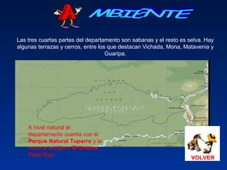 Las tres cuartas partes del departamento son sabanas y el resto es selva. Hay
algunas terrazas y cerros, entre los que destacan Vichada, Mona, Matavenia y
Guaripa.
VOLVER
A nivel natural el
departamento cuenta con el
Parque Natural Tuparro y la
reserva indígena El Unuma
Parte Baja
 