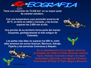 Tiene una extensión de 72.238 km², en su mayor parte 
de carácter selvático. 
Con una temperatura cuyo promedio anual es de 
28 ºC, el clima es cálido y húmedo, y las lluvias 
superan los 3.000 mm al año. 
Una porción de su territorio forma parte del macizo 
Guayanés, geológicamente el más antiguo de 
Colombia.
 Las partes más altas no superan los 600 m; entre 
ellas tenemos los cerros Aracuari, Mavicure, Salvaje, 
Pajarito y las serranías Caranacoa y Naquén.
Es un departamento rico en aguas; entre los 
principales ríos están el Inírida, Guaviare, Guainía, 
Aquio, Atabapo, Guascabí y Negro, los lagos 
Guacamayo y Zancudo, y las lagunas Chicuaco, 
Guacamayo, El Brujo, El Tigre, Mugre y Mucunarí. 
 