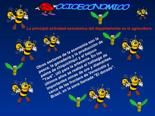 La principal actividad económica del departamento es la agricultura 
Otros sectores de la economía son la 
pesca, la ganadería y la producción de 
palma de chiquichiqui y el bejuco 
"Yaré", útil para la artesanía. En los 
últimos años se realizó el hallazgo de 
importantes minas de oro y diamantes, 
cerca de las frontera de Venezuela y 
Brasil, en la zona llamada "El dorado".
 