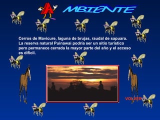 Cerros de Mavicure, laguna de brujas, raudal de sapuara. 
La reserva natural Puinawai podría ser un sitio turístico 
pero permanece cerrada la mayor parte del año y el acceso 
es difícil.
VOLVER
 