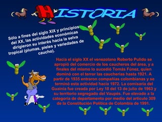 Sólo a fines del siglo XIX y principios 
del XX, las actividades económicas 
dirigieron su interés hacia la selva 
tropical (plumas, pieles y variedades de 
caucho). 
Hacia el siglo XX el venezolano Roberto Pulido se 
apropió del comercio de los caucheros del área, y a 
finales del mismo lo sucedió Tomás Fúnez, quien 
dominó con el terror las caucherías hasta 1921. A 
partir de 1935 entraron compañías colombianas y se 
terminó esta actividad hacia 1972. La comisaría del 
Guainía fue creada por Ley 18 del 13 de julio de 1963 y 
su territorio segregado del Vaupés. Fue elevado a la 
categoría de departamento por medio del artículo 309 
de la Constitución Política de Colombia de 1991.
 