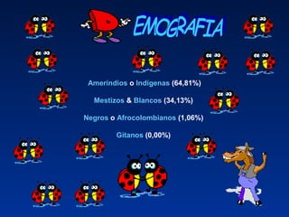 Amerindios o Indígenas (64,81%)
 
Mestizos & Blancos (34,13%) 
Negros o Afrocolombianos (1,06%) 
Gitanos (0,00%) 
 