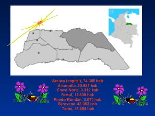 Arauca (capital), 74.385 hab
Arauquita, 20.981 hab
Cravo Norte, 3.312 hab
Fortul, 15.500 hab
Puerto Rondón, 3.670 hab
Saravena, 43.063 hab
Tame, 47.694 hab
 