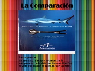 La Comparación




La comparación.
En este caso la imagen nos muestra la
comparación de la vista que tiene un tiburón y
la vista que tendría el buceador con las gafas.
 