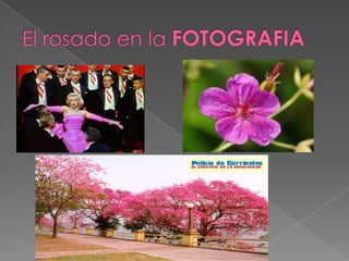 El rosado en la FOTOGRAFIA