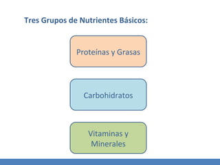 Tres Grupos de Nutrientes Básicos: Proteínas y Grasas Carbohidratos Vitaminas y Minerales 