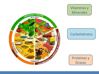 Proteínas y Grasas Carbohidratos Vitaminas y Minerales 