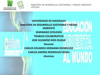 UNIVERSIDAD DE MANIZALES
MAESTRIA EN DESARROLLO SOSTENIBLE Y MEDIO
AMBIENTE
SEMINARIO ECOLOGÍA
TRABAJO COLABORATIVO
JOSE GILDARDO RIOS DUQUE
Docente
CARLOS EDUARDO HERMANN RODRIGUEZ
CARLOS ANDRES RODRIGUEZ ROJAS
Alumnos
 