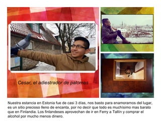 Nuestra estancia en Estonia fue de casi 3 días, nos basto para enamorarnos del lugar,
es un sitio precioso lleno de encanta, por no decir que todo es muchísimo mas barato
que en Finlandia. Los finlandeses aprovechan de ir en Ferry a Tallín y comprar el
alcohol por mucho menos dinero.
Cesar, el adiestrador de palomas
 