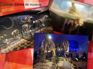 También fuimos de museos…
 
