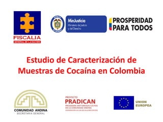 Estudio de Caracterización de
Muestras de Cocaína en Colombia


                            UNION
                            EUROPEA
 