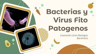 Bacterias y
Virus Fito
Patogenos
Leonardo Lenin Banegas
Barahona
 