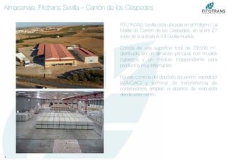 8	
  
Almacenaje. Fitotrans Sevilla – Carrión de los Céspedes
FITOTRANS Sevilla está ubicada en el Polígono La
Matilla de Carrión de los Céspedes, en el km 27
a pie de la autovía A-49 Sevilla-Huelva.

Consta de una superﬁcie total de 29.500 m2,
distribuido en un almacén principal con muelles
cubiertos y un módulo independiente para
productos muy inﬂamables.

Figuras como la del depósito aduanero, expedidor
IATA/OACI y terminal de transferencia de
contenedores amplían el abanico de respuesta
desde este centro.
 