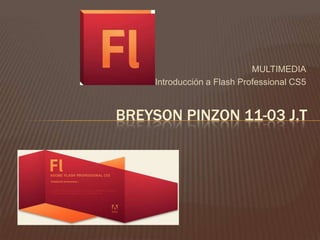 MULTIMEDIA
    Introducción a Flash Professional CS5


BREYSON PINZON 11-03 J.T
 
