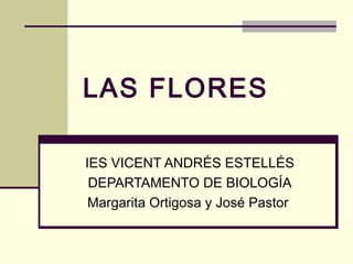 LAS FLORES IES VICENT ANDRÉS ESTELLÉS DEPARTAMENTO DE BIOLOGÍA Margarita Ortigosa y José Pastor  