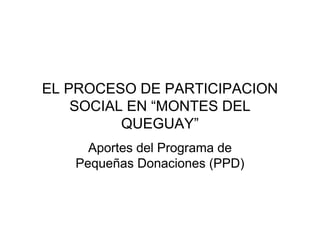 EL PROCESO DE PARTICIPACION
    SOCIAL EN “MONTES DEL
          QUEGUAY”
     Aportes del Programa de
   Pequeñas Donaciones (PPD)
 
