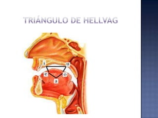 Triángulo de Hellvag