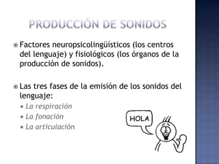 PRODUCCIÓN DE SONIDOSFactores neuropsicolingüísticos (los centros del lenguaje) y fisiológicos (los órganos de la producción de sonidos).Las tres fases de la emisión de los sonidos del lenguaje: La respiraciónLa fonaciónLa articulación