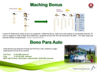 Niveles normales de colesterol