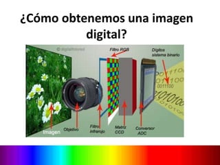 ¿Cómo obtenemos una imagen digital?