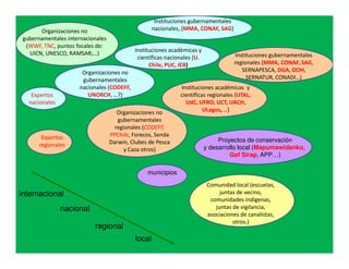 Instituciones gubernamentales
       Organizaciones no                            nacionales, (MMA, CONAF, SAG)
 gubernamentales internacionales
  (WWF, TNC, puntos focales de:
                                            Instituciones académicas y
   UICN, UNESCO, RAMSAR;…)                                                           Instituciones gubernamentales
                                             científicas nacionales (U.
                                                  Chile, PUC, IEB)                   regionales (MMA, CONAF, SAG,
                       Organizaciones no                                                SERNAPESCA, DGA, DOH,
                       gubernamentales                                                    SERNATUR, CONADI…)
                      nacionales (CODEFF,                     Instituciones académicas y
    Expertos             UNORCH, …?)                          científicas regionales (UTAL,
   nacionales                                                   UdC, UFRO, UCT, UACH,
                                      Organizaciones no                 ULagos, …)
                                      gubernamentales
                                     regionales (CODEFF,
        Expertos                   PPChile, Forecos, Senda
                                   Darwin, Clubes de Pesca                     Proyectos de conservación
       regionales                                                         y desarrollo local (Mapumawidanko,
                                         y Caza otros)
                                                                                   Gef Sirap, APP…)

                                                 municipios
                                                                           Comunidad local (escuelas,
internacional                                                                   juntas de vecino,
                                                                            comunidades indígenas,
                nacional                                                      juntas de vigilancia,
                                                                           asociaciones de canalistas,
                                                                                     otros.)
                           regional
                                            local
 