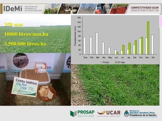 TÍTULO
2. Caracterización Agroecológica
0
20
40
60
80
100
120
140
160
Ene Feb Mar Abr May Jun Jul Ag Set Oct Nov Dic
Precipitaciones(mm)
Precip UC trigo
350 mm
10000 litros/mm.ha
3.500.000 litros/ha
 