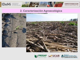 TÍTULO
2. Caracterización Agroecológica
 