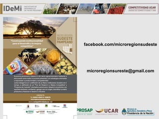 TÍTULO
facebook.com/microregionsudeste
microregionsureste@gmail.com
 